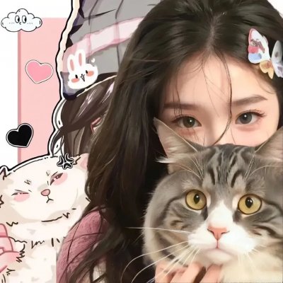 猫儿历险记国语